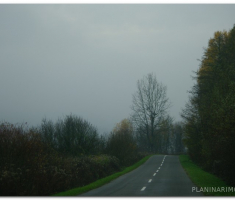 papuk_sapice_00005