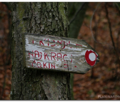papuk_sapice_00010