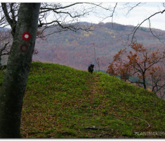 papuk_sapice_00018