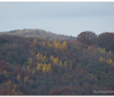 papuk_sapice_00020