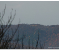 papuk_sapice_00021