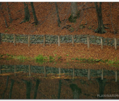 papuk_sapice_00031