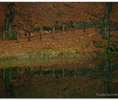 papuk_sapice_00033