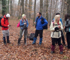 20170219_pozeska_gora_024