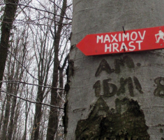 20170219_pozeska_gora_040