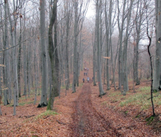 20170219_pozeska_gora_042