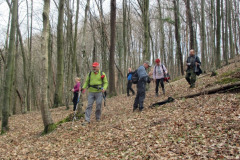 19.03.2017. - Božin grob