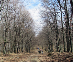 20170319_krndija_043