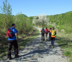 20150419_krndija_007
