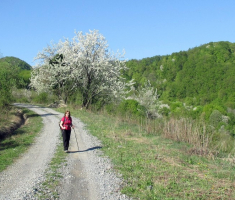 20150419_krndija_008