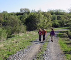 20150419_krndija_010