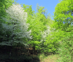 20150419_krndija_011