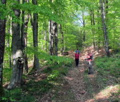20150419_krndija_013