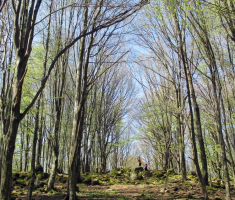 20150419_krndija_024