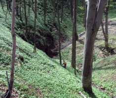 20150419_krndija_037