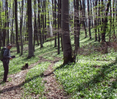 20150419_krndija_041
