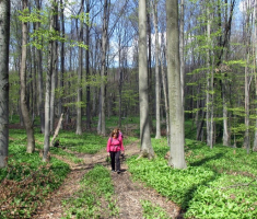 20150419_krndija_042