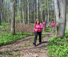 20150419_krndija_043