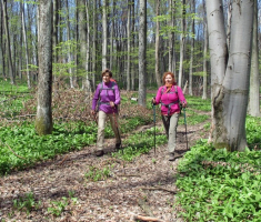 20150419_krndija_044