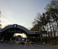 20260419_belgrade_marathon_020