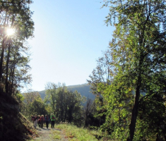 20141019_krndija_006