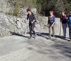 20141019_krndija_018