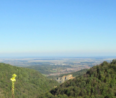 20141019_krndija_034
