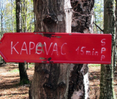20141019_krndija_046