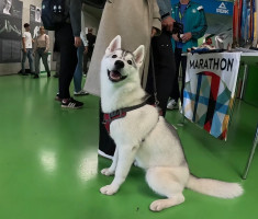 20251019_ljubljanski_maraton_038