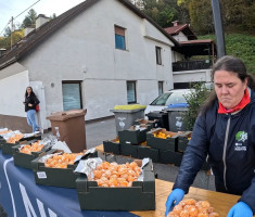 20251019_ljubljanski_maraton_149