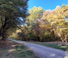 20251019_mecsek_002 20251019_mecsek_002