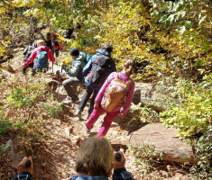 20251019_mecsek_004 20251019_mecsek_004