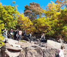 20251019_mecsek_006 20251019_mecsek_006