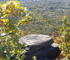 20251019_mecsek_008 20251019_mecsek_008