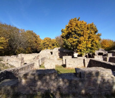 20251019_mecsek_011 20251019_mecsek_011