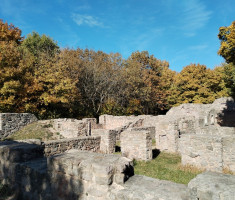 20251019_mecsek_015