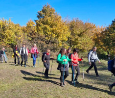 20251019_mecsek_023 20251019_mecsek_023