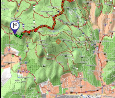 20251019_mecsek_024 20251019_mecsek_024