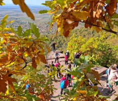 20251019_mecsek_025 20251019_mecsek_025