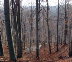 20161119_papuk_010