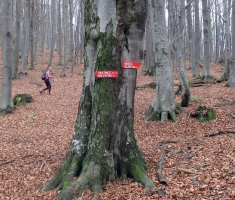20161119_papuk_047