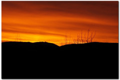 19.12.2010. Papuk