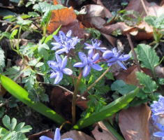 20160320_papuk_006