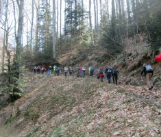 20160320_papuk_023