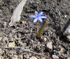 20160320_papuk_037