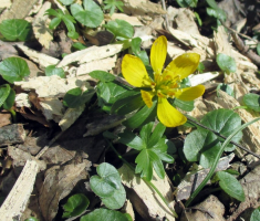 20160320_papuk_066