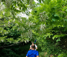 20240420_garcin_trail_22km_045