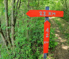 20240420_garcin_trail_22km_052