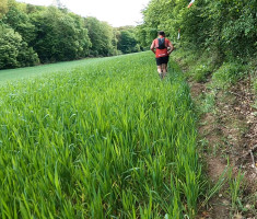 20240420_garcin_trail_22km_076