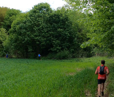 20240420_garcin_trail_22km_079